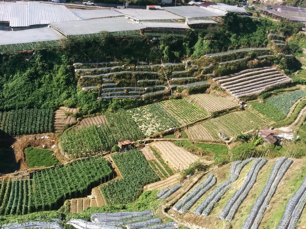 Mary Apt @ Equatorial Hill Resort Cameron Highlands Bagian luar foto